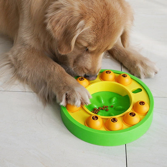 Interactive Slow Feeder Puzzle Bowl for dogs with non-slip base and spinning treat dispenser